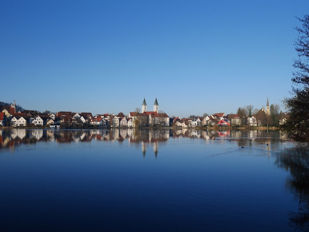 Stadtsee景点图片