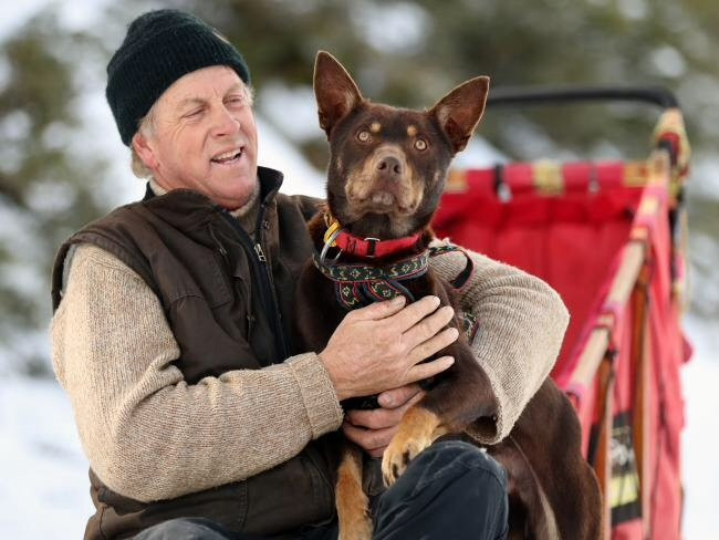 Australian Sleddog Tours-Mount Buller必去景点