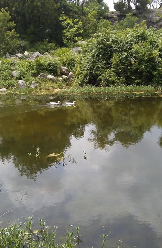 Flying L Golf Course-Bandera必去景点