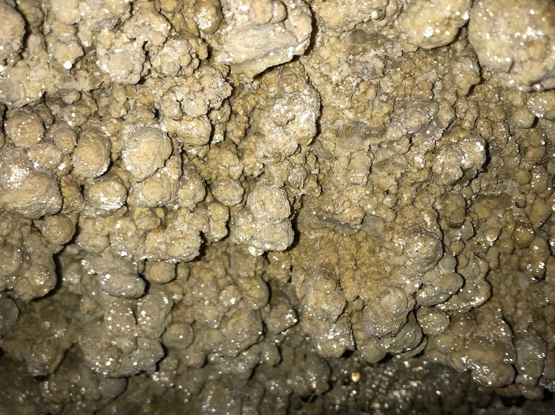 The Great Saltpetre Cave-Livingston必去景点