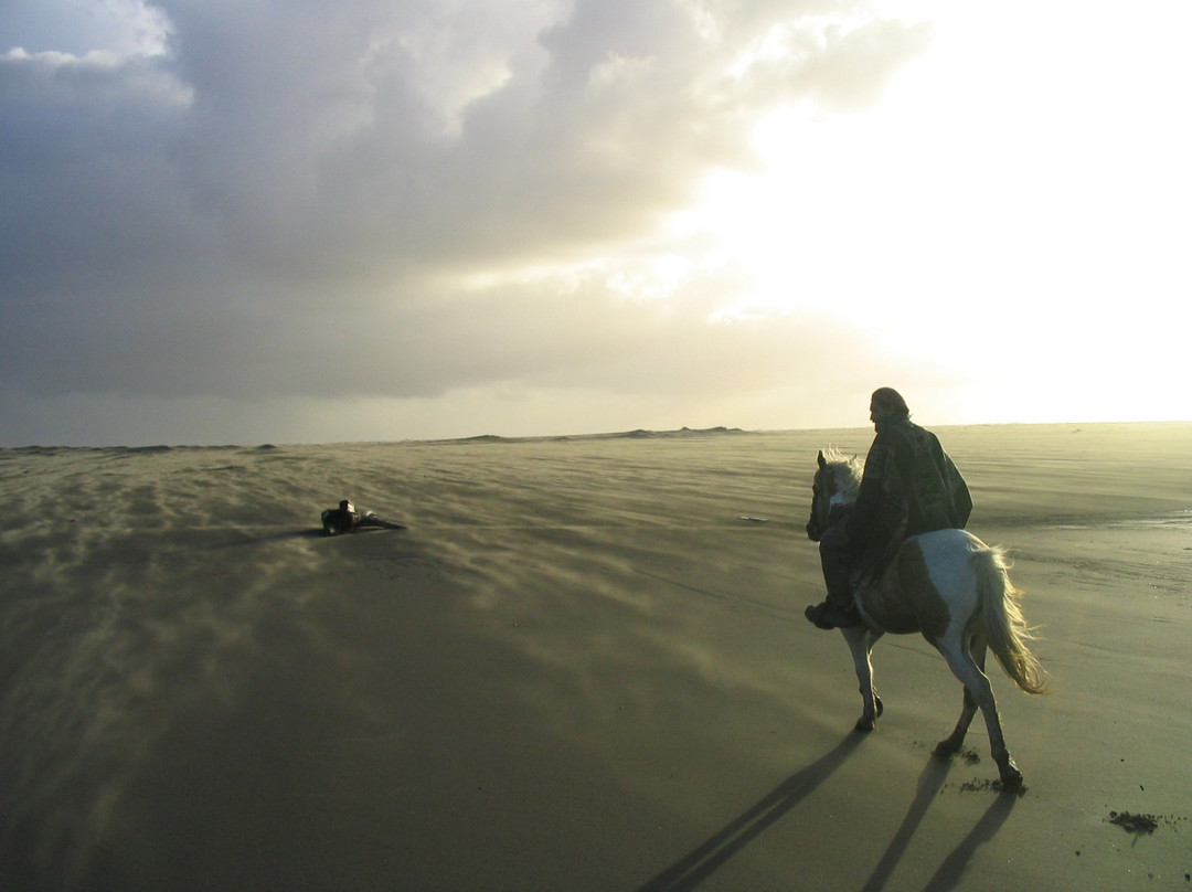 Palafito Trip Tours Chiloe-Cucao必去景点