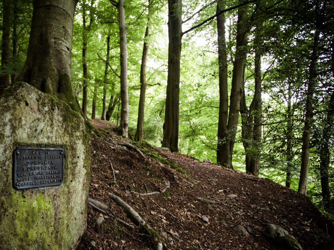 Lancrigg - Wordsworths Woodland Walks景点图片