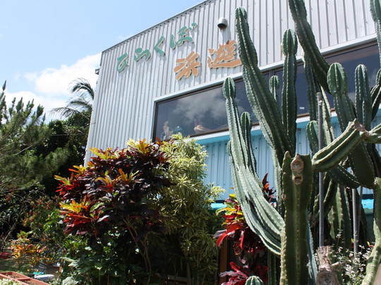 多良间村餐馆和美食-Hamayu