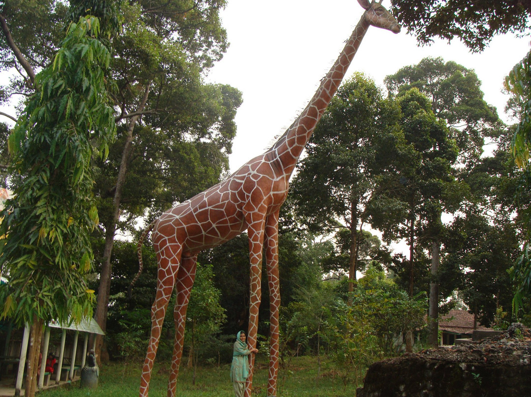 Dulahazra Safari Park景点图片