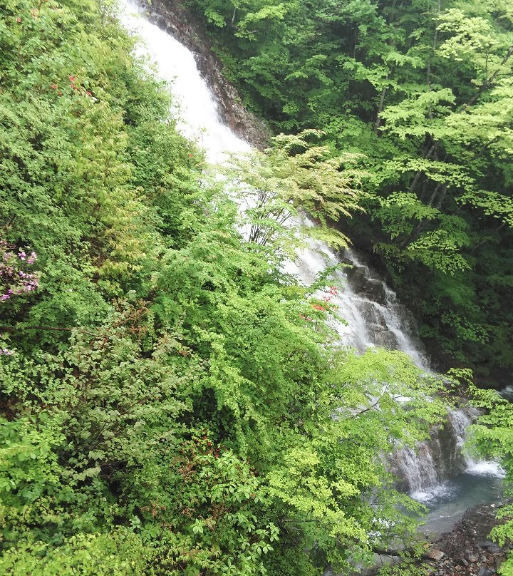 Shakunage Waterfall景点图片