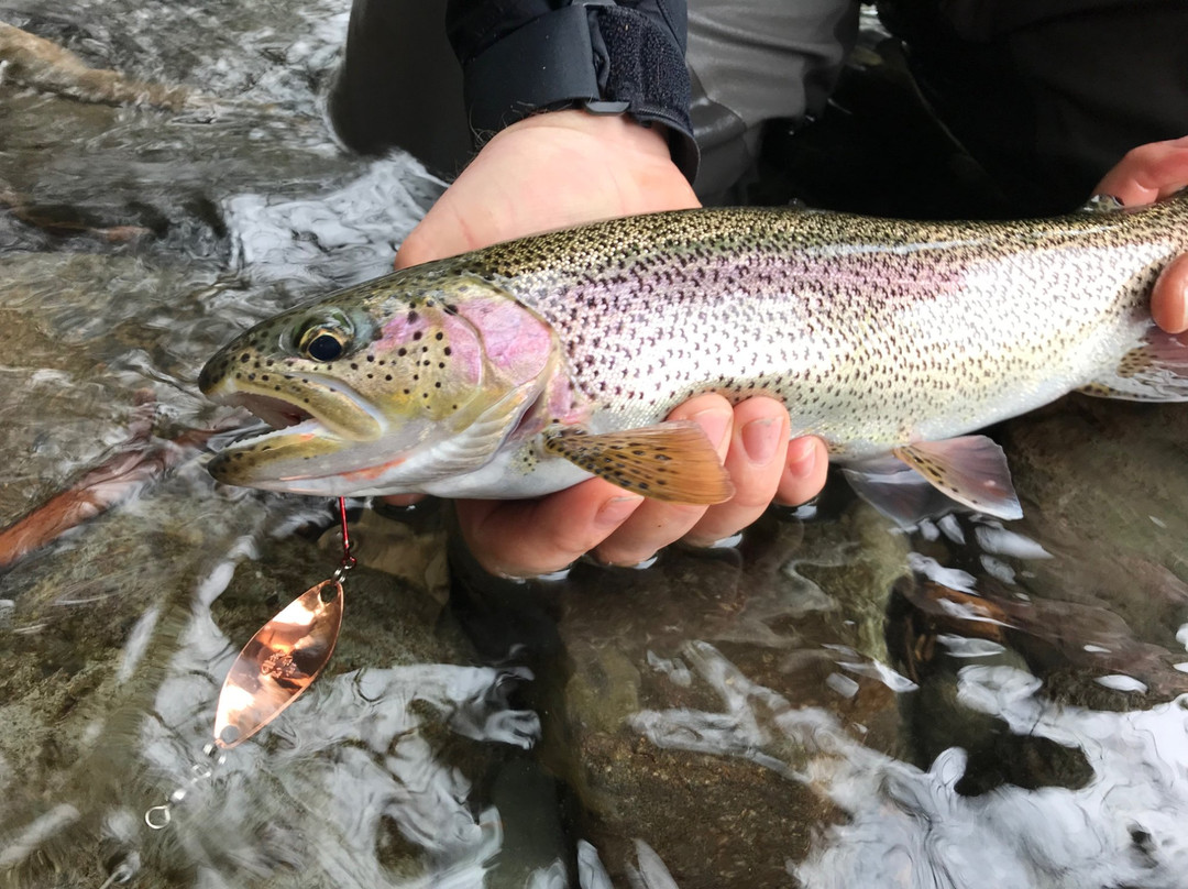 ​Steelhead Fishing Vancouver Island-桑列根湖必去景点