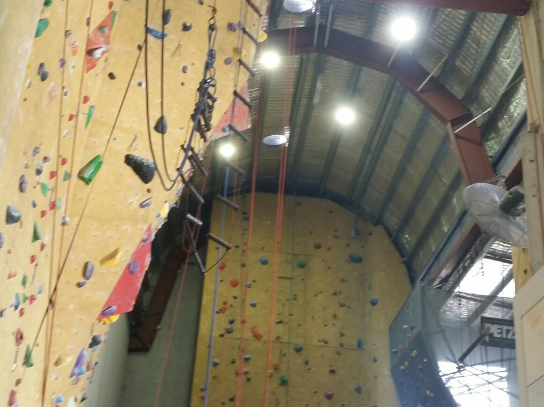The Edge Rock Climbing Centre景点图片