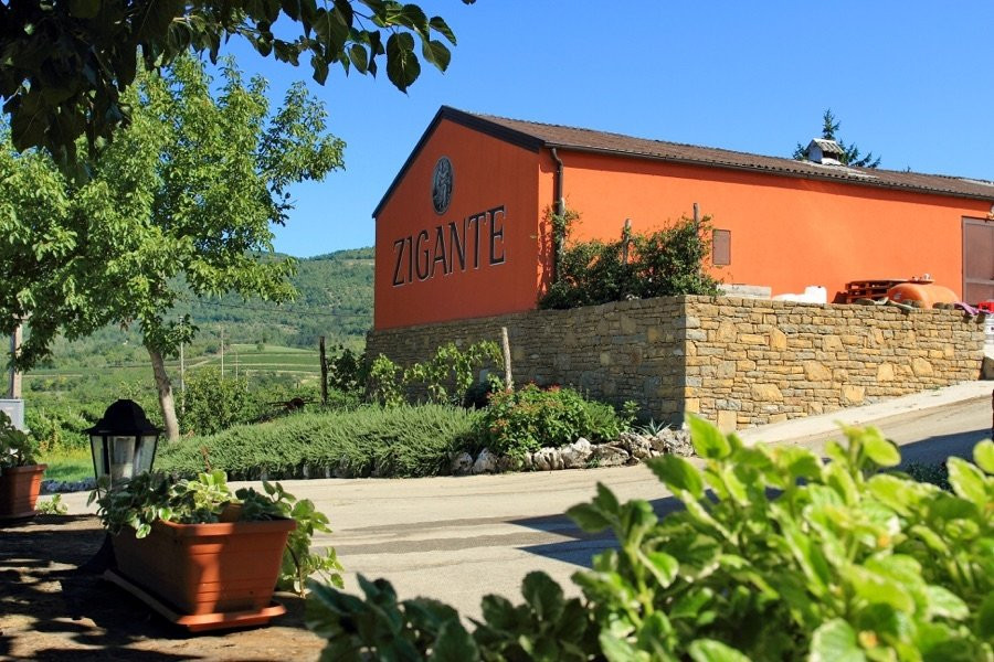 Vranje Selo旅游景点-Vina Zigante