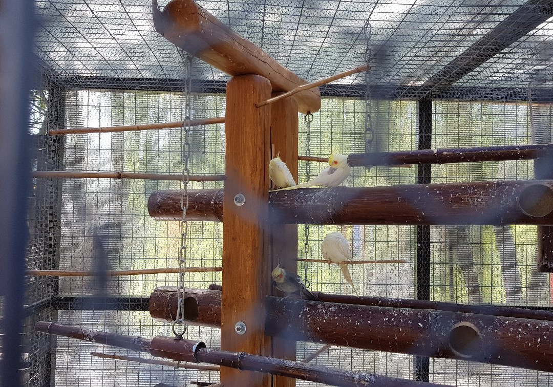 Afidnes旅游攻略图片