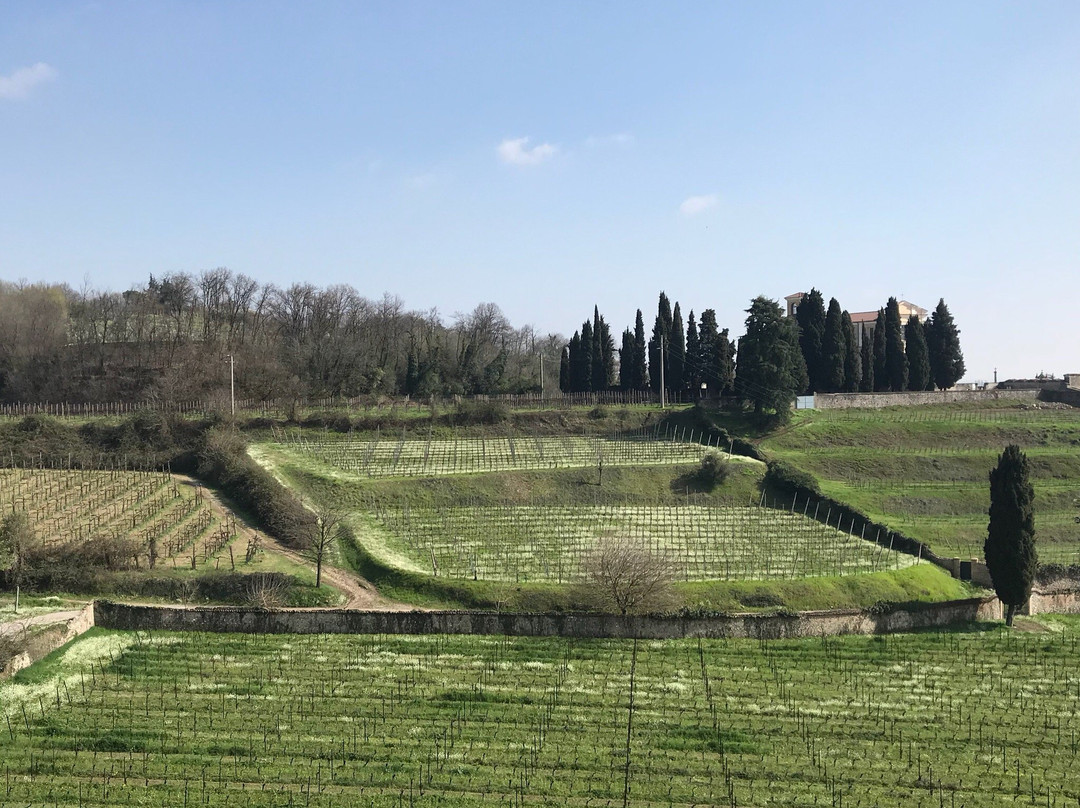 Santa Lucia Franciacorta景点图片
