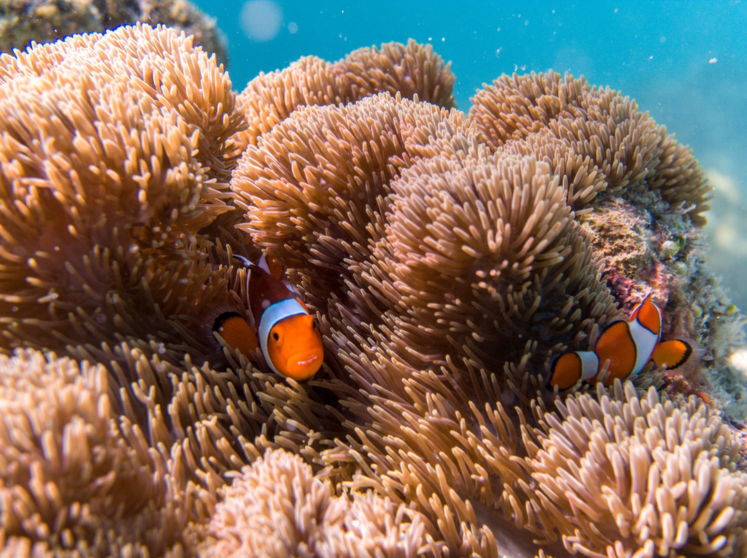 Philguru-爱妮岛必去景点