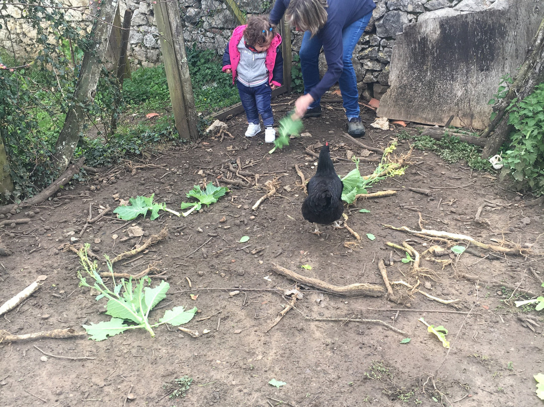 Casa Rural La Corrolada主图
