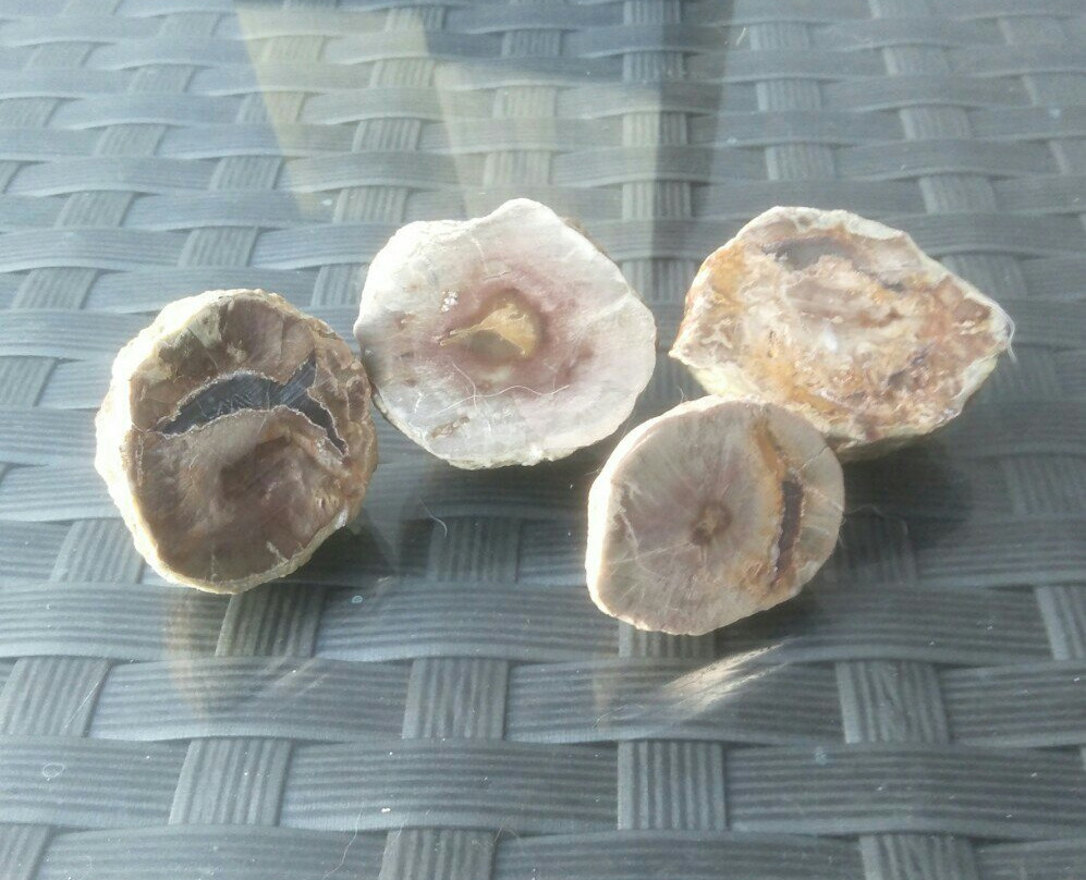 Thunderegg Crystal Mine景点图片
