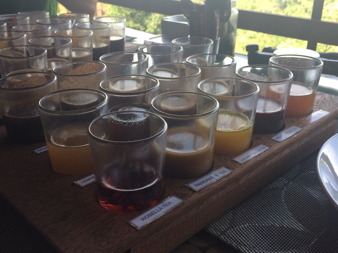 Green Bikes Bali-达巴南必去景点