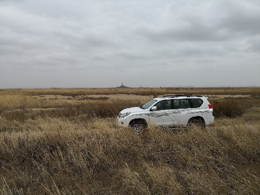 东营天鹅湖-东营市必去景点