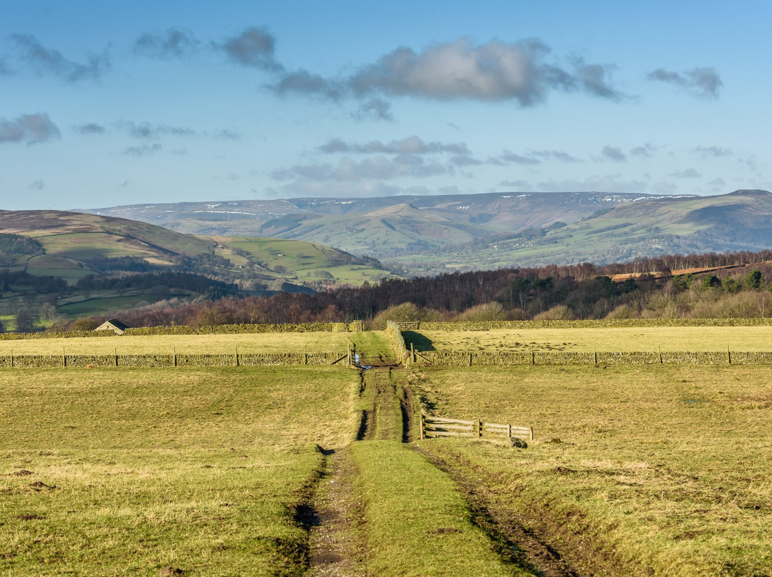 Longshaw Estate景点图片