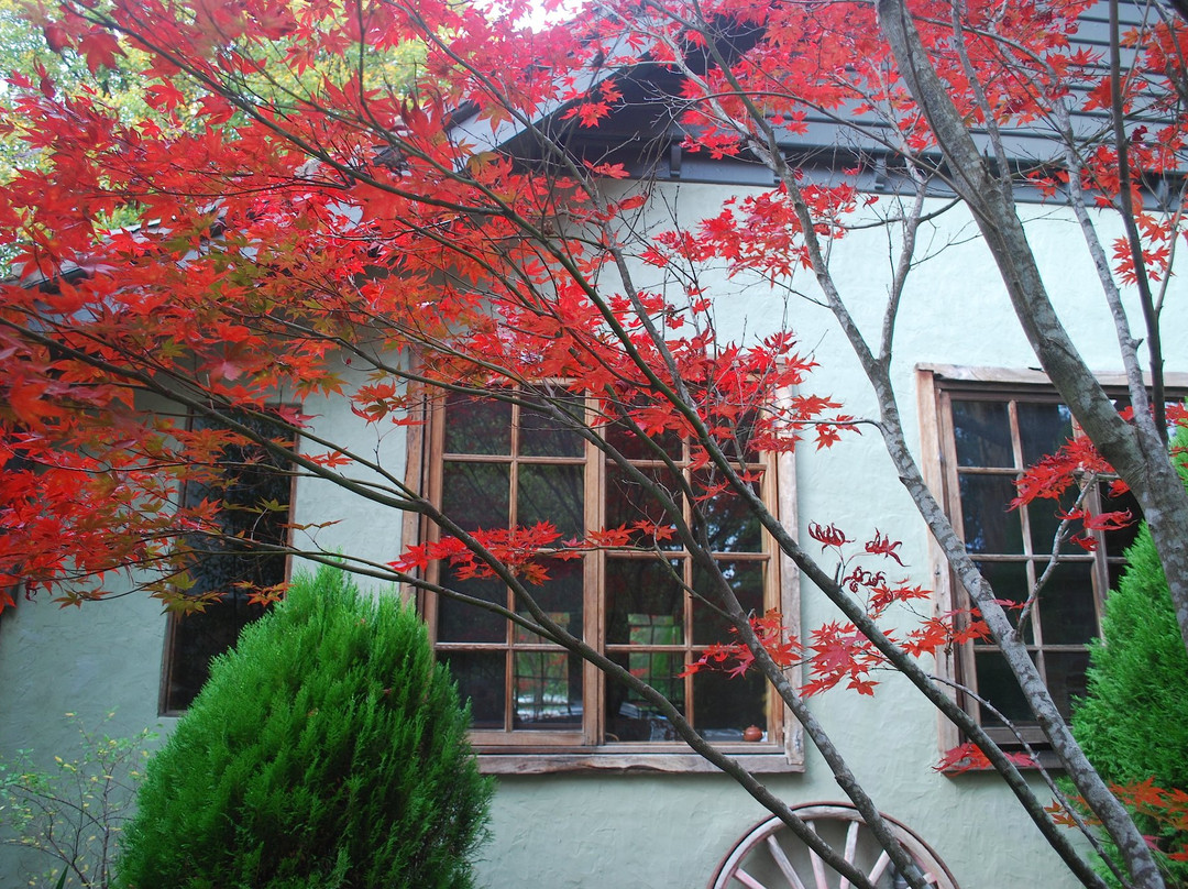 Rocky Creek Art Garden B&B主图