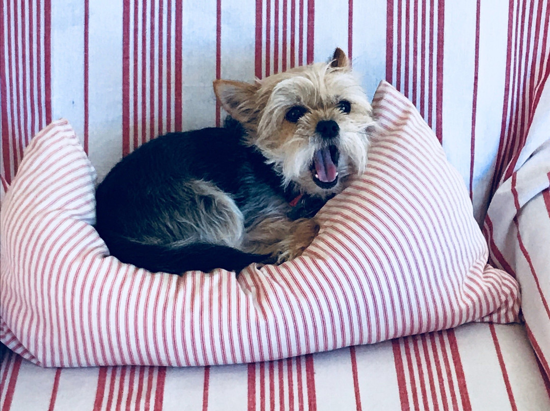 Tranquility Guest House主图