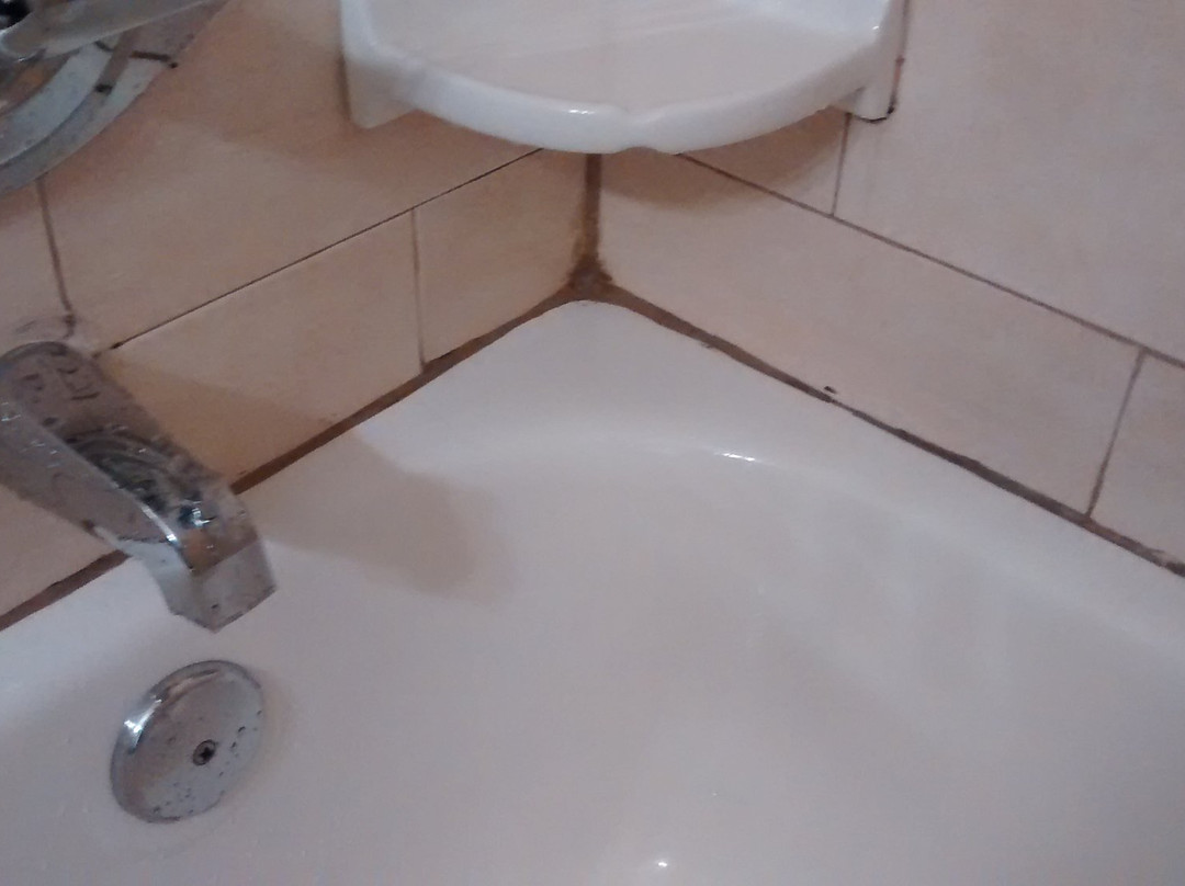 Comfort Inn And Suites Ambassador Bridge主图