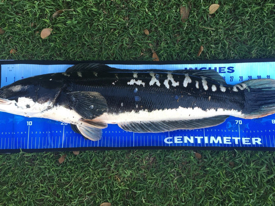 Tarlac Recreational Park-San Jose必去景点