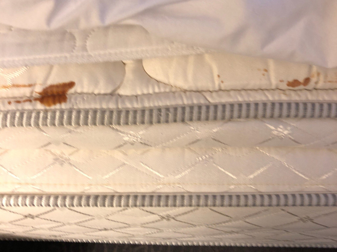 The New Stateside Hotel & Baselodge主图