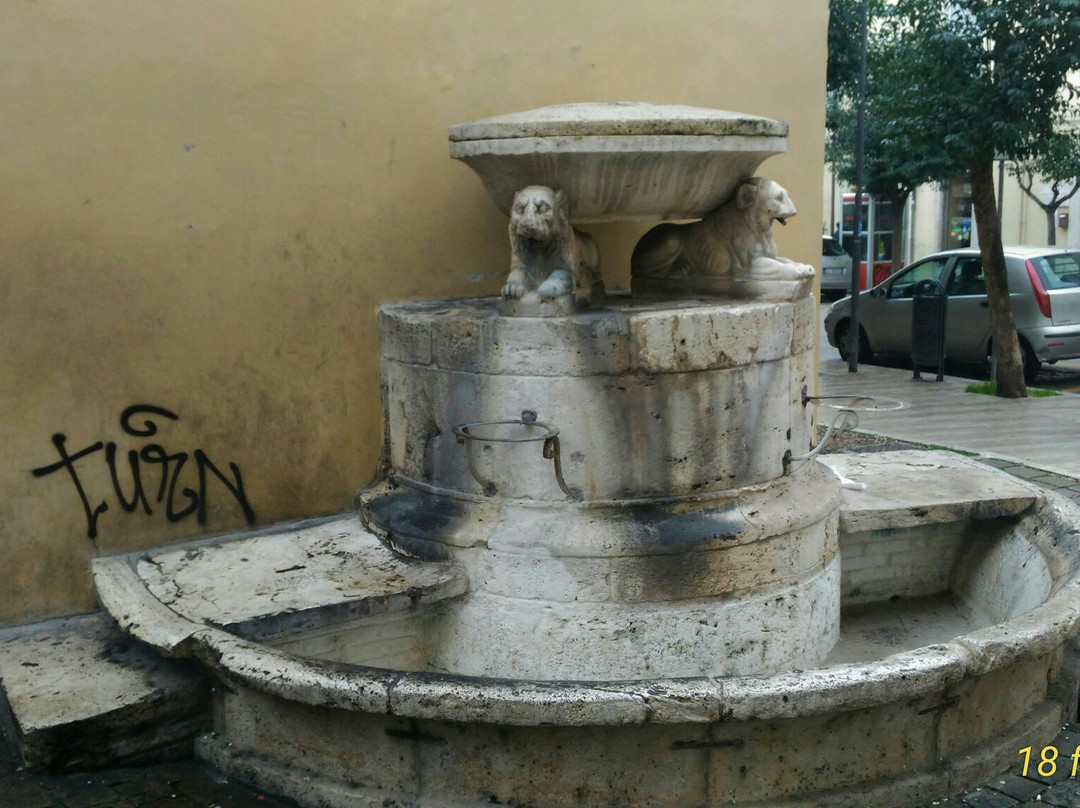 Fontana dei Cani景点图片