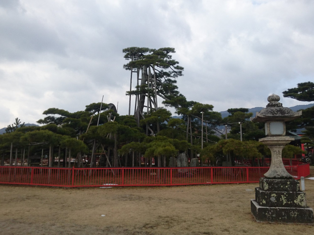Karasaki Shrine-大津市必去景点