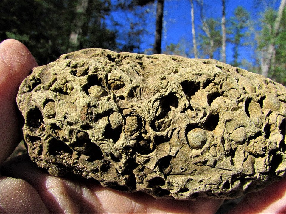 Excihiking Treks-罗阿诺克必去景点