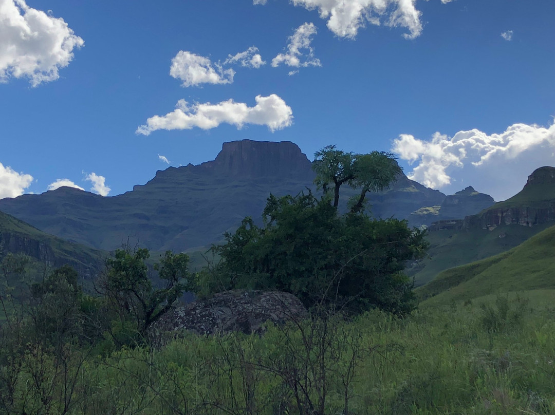 Champagne Sports Resort主图