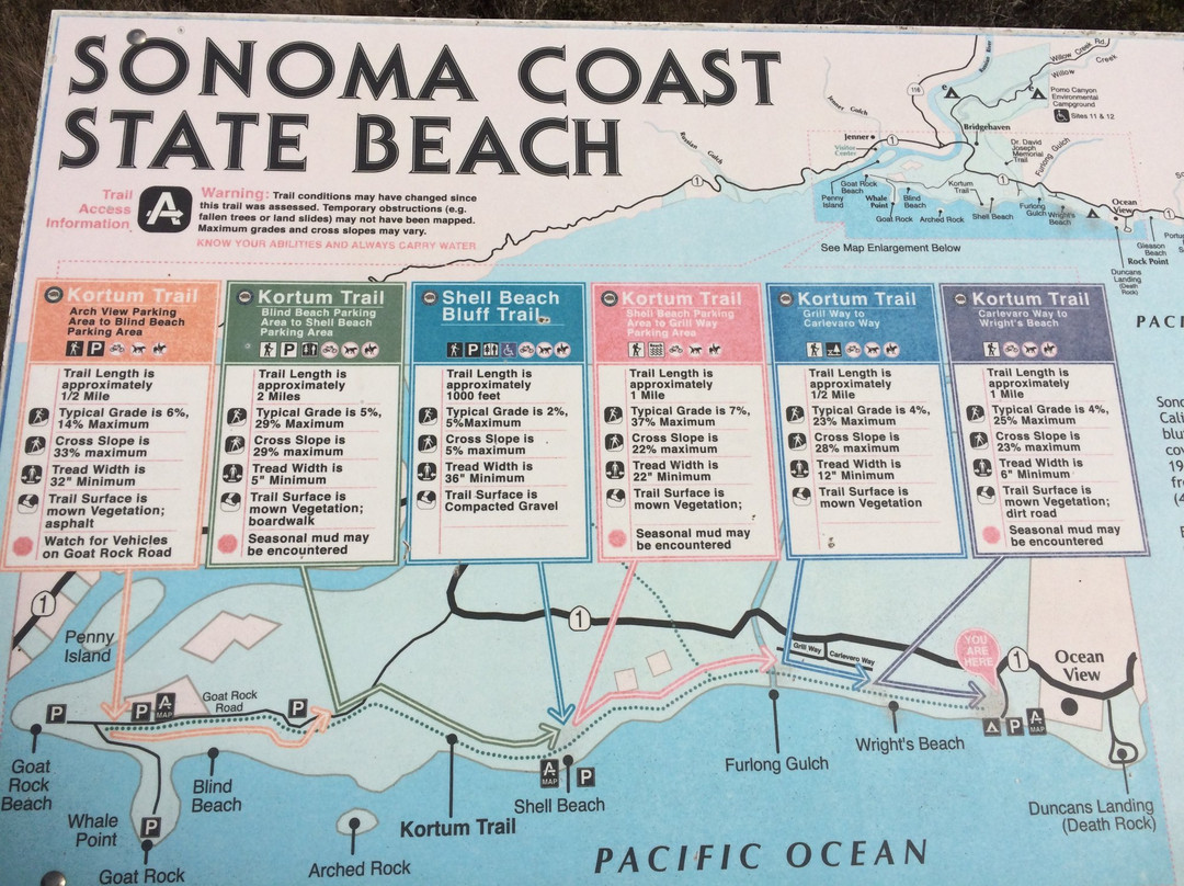 Sonoma Coast State Beach景点图片