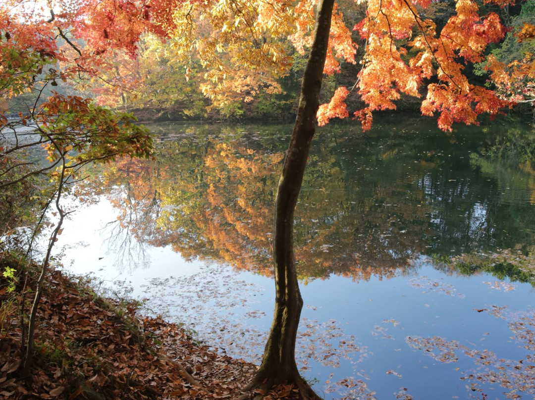 Lake Shinsei-秦野市必去景点