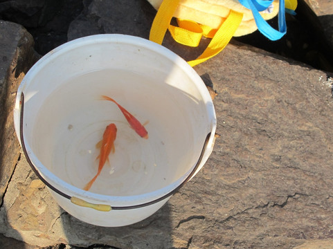 苏州公园-苏州市必去景点