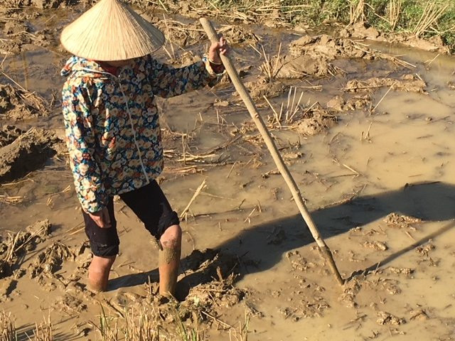 Giang Mo Village-Hoa Binh必去景点