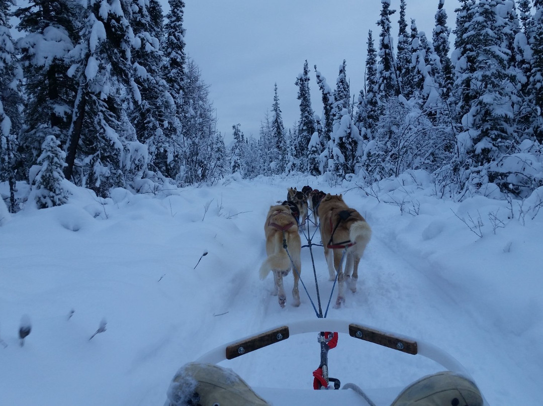 Fairbanks City Tour - Tours景点图片
