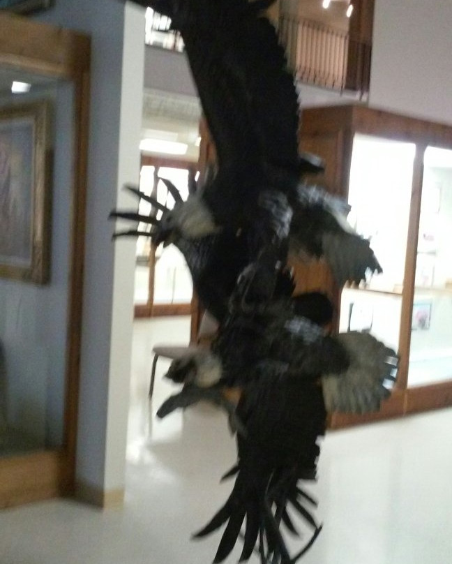 Clifton Steamboat Museum-博蒙特必去景点