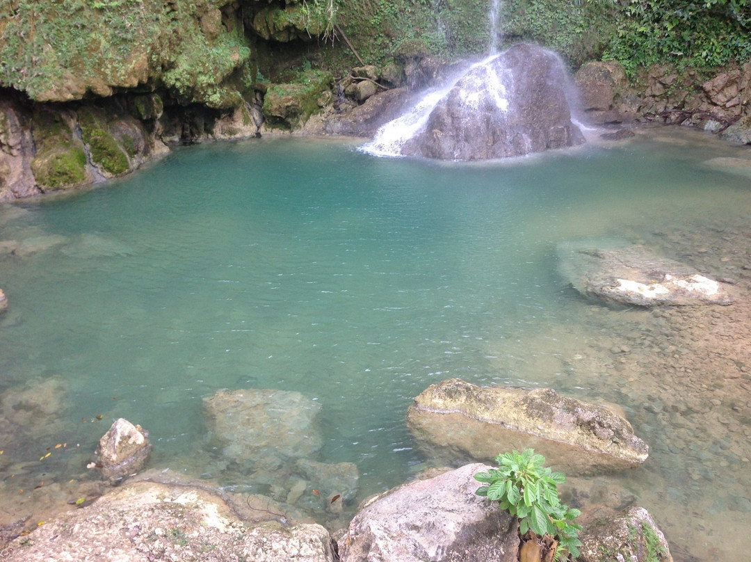 Alegria旅游景点-Montpellier Falls