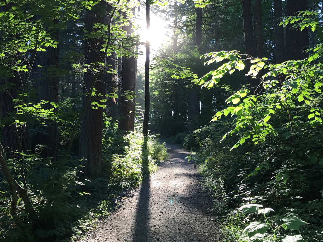 Maple Valley旅游攻略图片