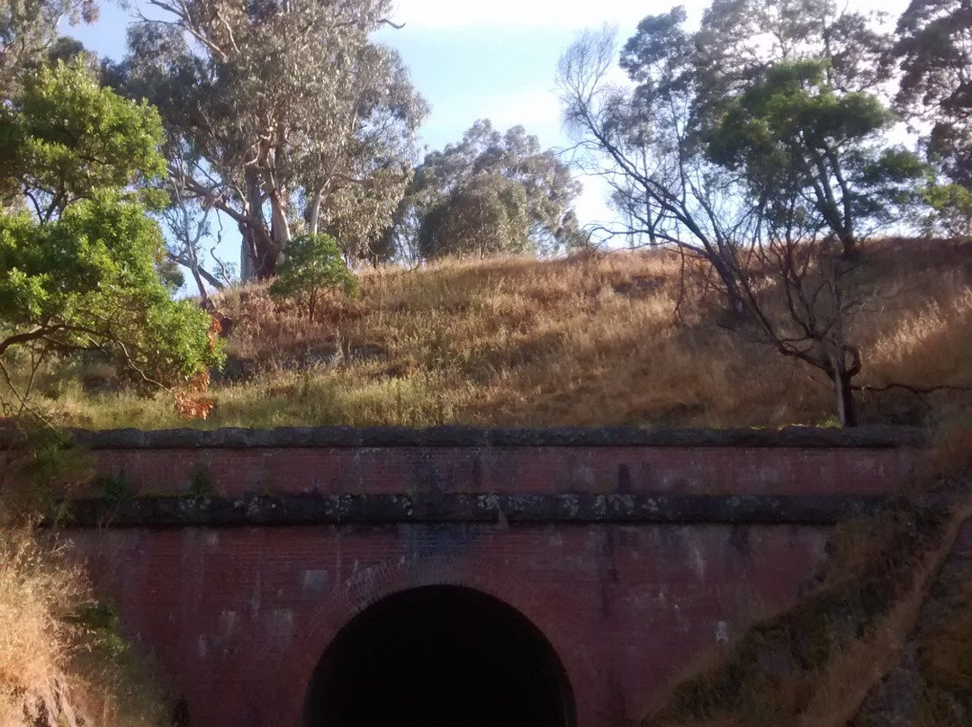 Cheviot Tunnel景点图片