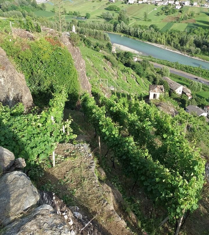 Azienda Agricola Le Strie景点图片