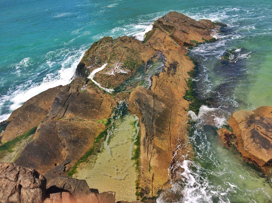 弗洛里亚诺波利斯旅游攻略图片