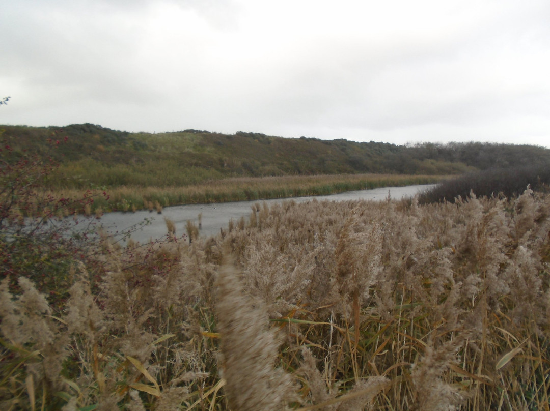 De Fonteintjes-布鲁日必去景点