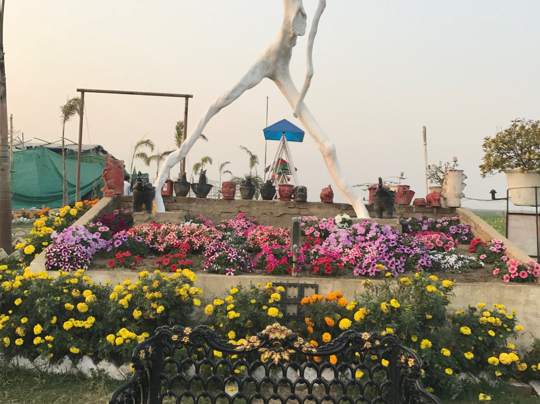 Das Driftwood Museum & Park景点图片