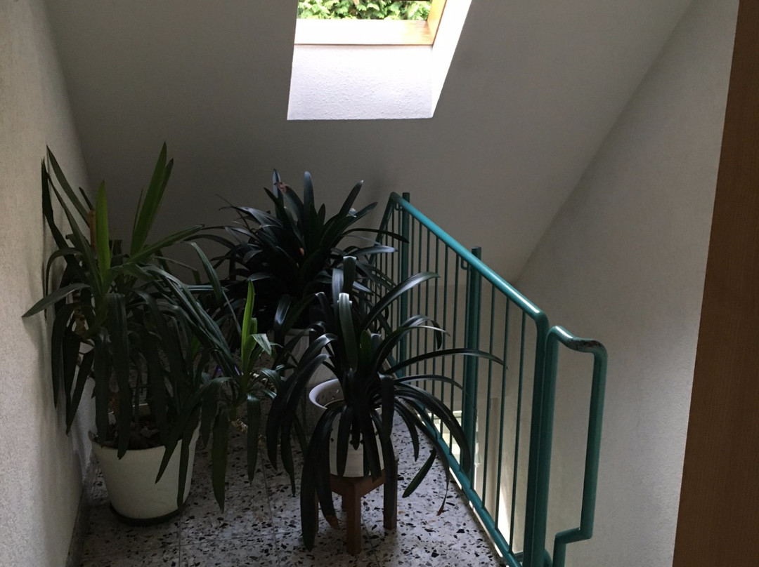 Hotel am Wasen主图