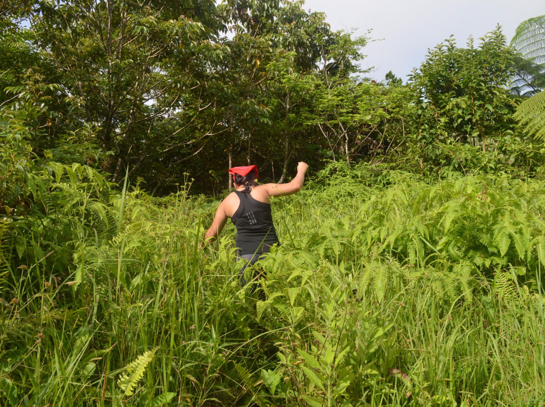 Mt. Malinao-Tiwi必去景点