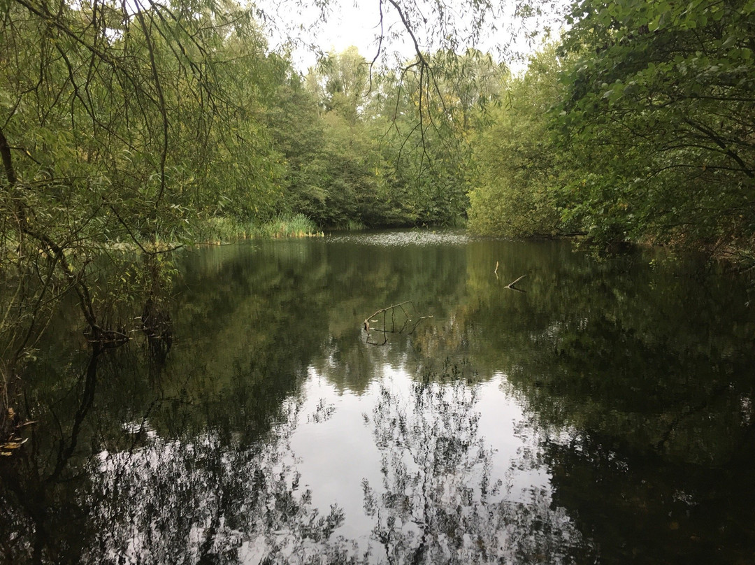 Ufton Fields Nature Reserve景点图片