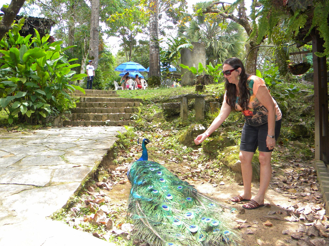 Bonito Ecoparque-Bonito必去景点