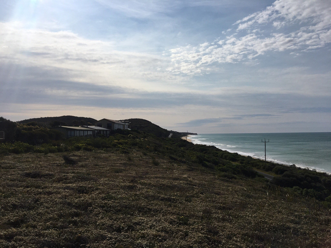 Moggs Creek Lookout-Moggs Creek必去景点