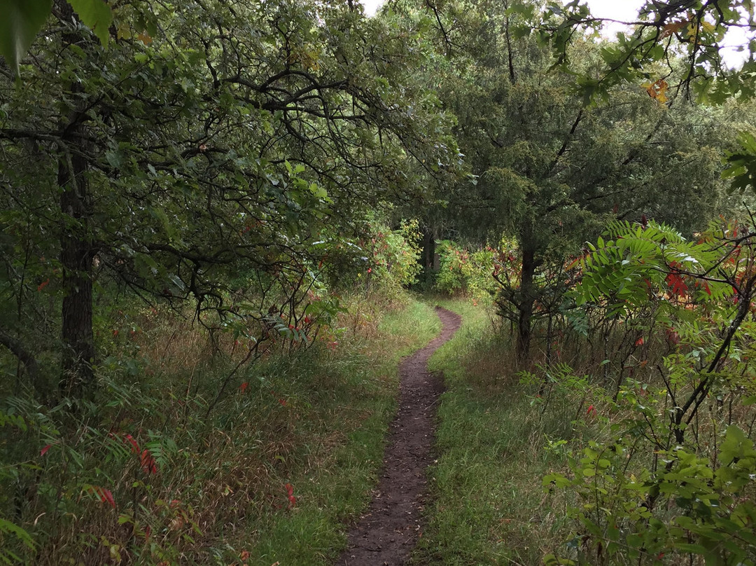 Newton Hills State Park-Canton必去景点