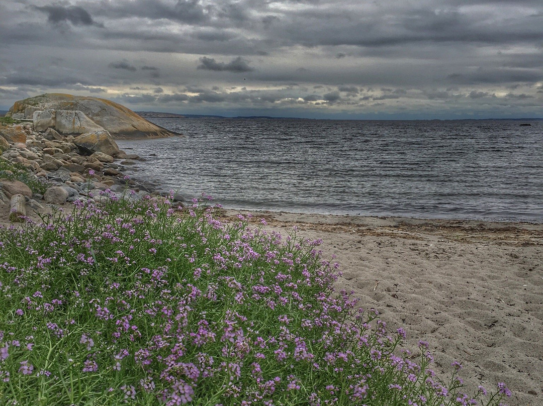 Around the Hvaler Skerries景点图片