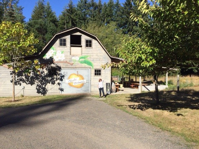 Nashi Orchards-Vashon必去景点